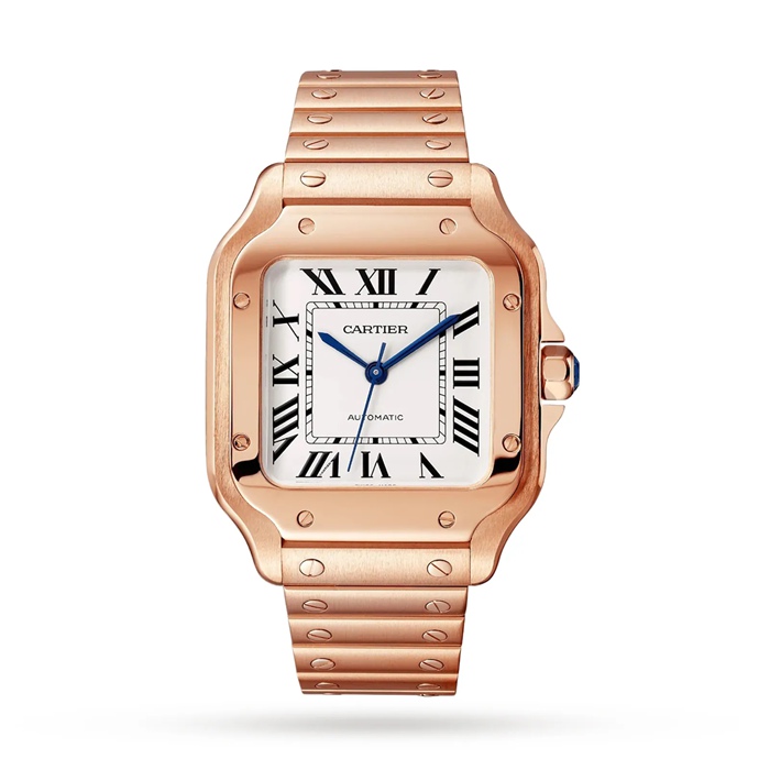 Cartier Santos De Cartier Watch Medium Model Mechanical Movement With Automatic Winding WGSA0031