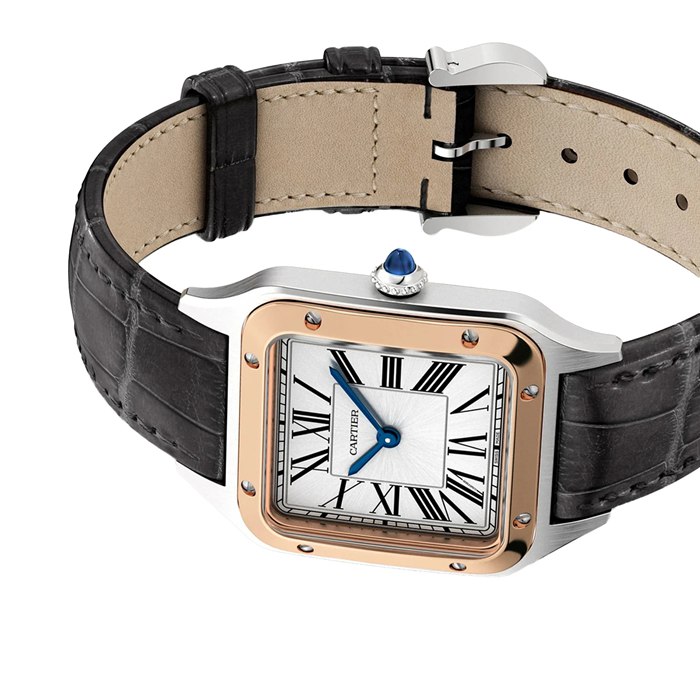 Cartier Santos-Dumont Watch Small Model High Autonomy Quartz Movement Steel Case W2SA0038 - Image 4