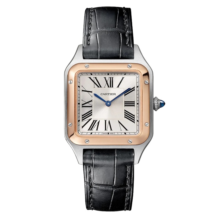 Cartier Santos-Dumont Watch Small Model High Autonomy Quartz Movement Steel Case W2SA0038