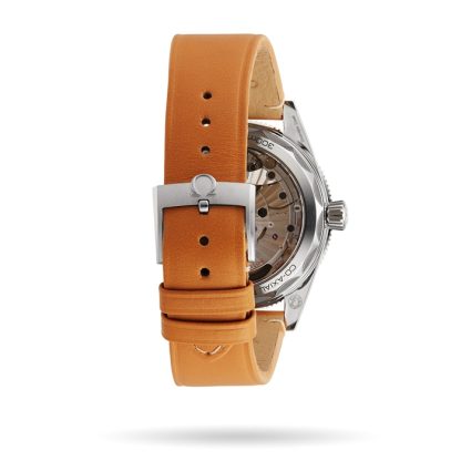 Omega Seamaster 300 Co-Axial Master Chronometer 41mm Mens Watch O23432412103001 - Image 5